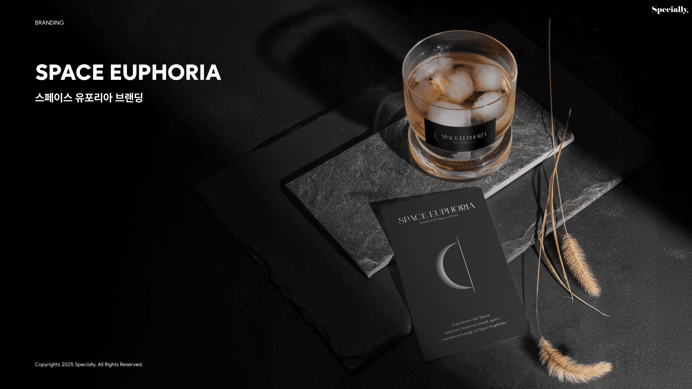 스페이스 유포리아